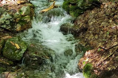 Parker Brook - Pittsfield State Forest