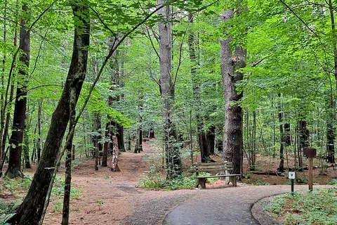 Parker Brook - Pittsfield State Forest