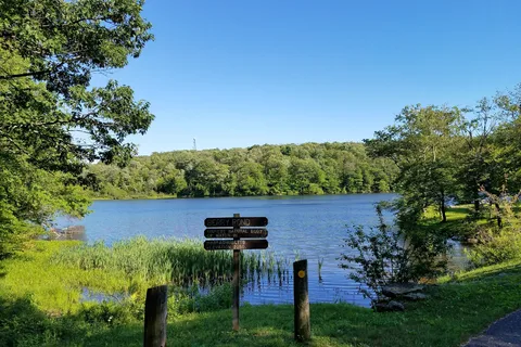 Parker Brook - Pittsfield State Forest