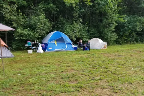 Parker Brook - Pittsfield State Forest
