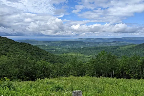 Parker Brook - Pittsfield State Forest