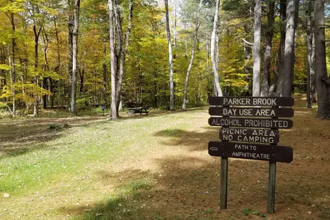 Parker Brook - Pittsfield State Forest