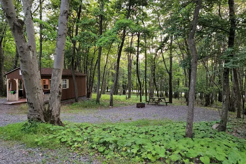 Peaceful Woodlands Family Campground