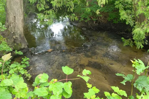 Everflowing Waters Campground
