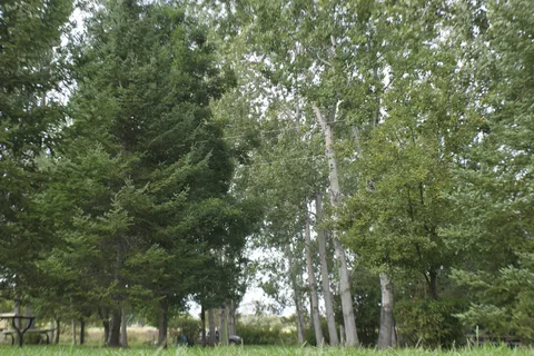 Everflowing Waters Campground