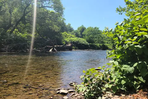 Crooked Creek Campground
