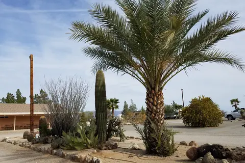 Morenga Palms RV Park