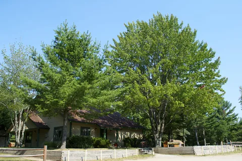 Gaylord KOA Holiday