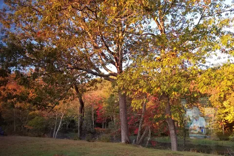 Riverbend Campground