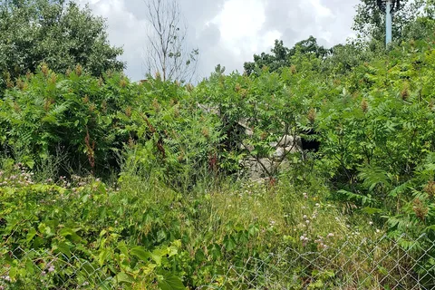 Ja Do Park Campground