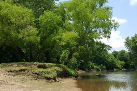Caplinger Woods RV & Campground