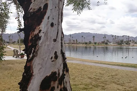 Lake Tamarisk Desert Resort