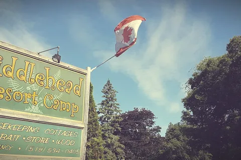 Fiddlehead Resort Camp