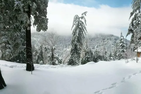Thousand Pines Christian Camp