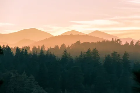 Thousand Pines Christian Camp