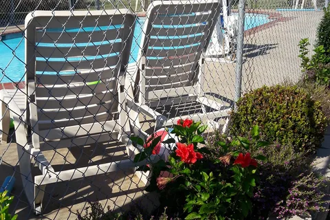 Frog City RV Park