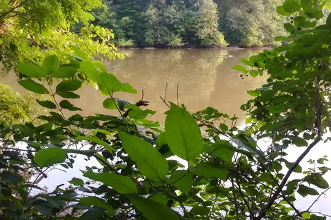 Adventure Bound Camping Resorts - Pleasant View