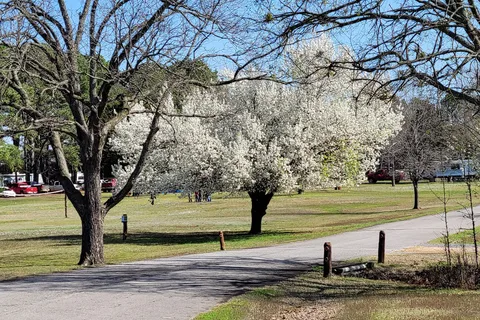 Cherokee Landing State Park
