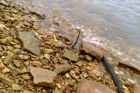 Cherokee Landing State Park