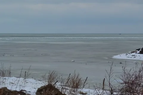 Linwood Beach Marina and Campground