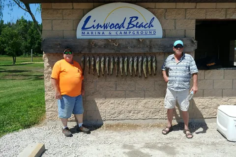 Linwood Beach Marina and Campground