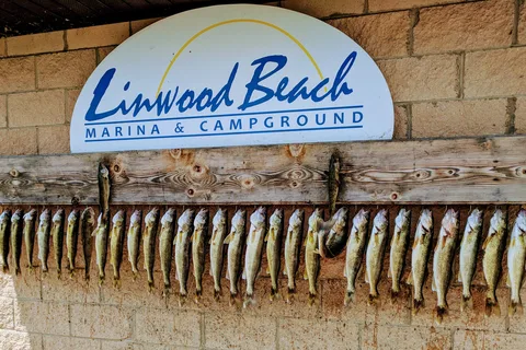 Linwood Beach Marina and Campground