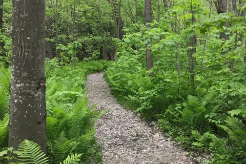 Timberland Campground