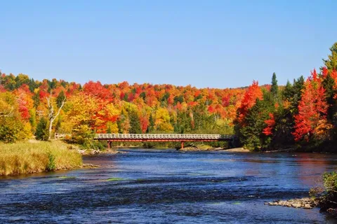 Timberland Campground