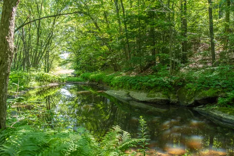 Timberland Campground