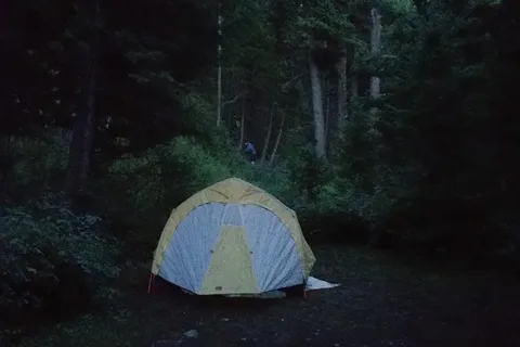 Quartz Creek Campground - Glacier National Park