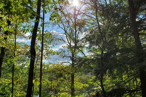 Lake Alma State Park