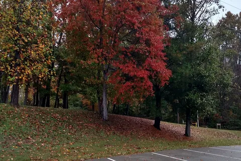 Lake Alma State Park