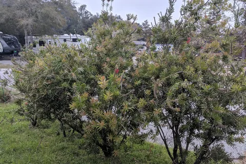 Doc's RV Park