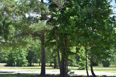 Peaceful Pines RV Park