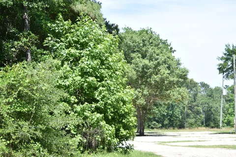 Peaceful Pines RV Park