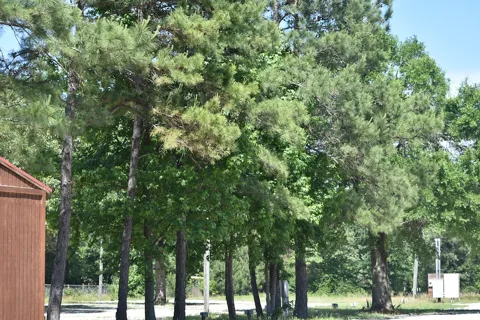 Peaceful Pines RV Park