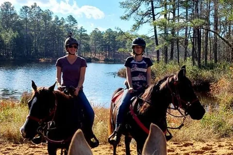 Daily Walk Stables and Campground
