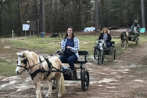 Daily Walk Stables and Campground