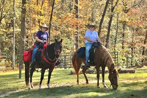 Daily Walk Stables and Campground
