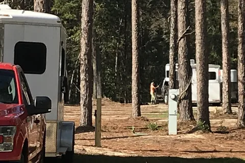 Daily Walk Stables and Campground