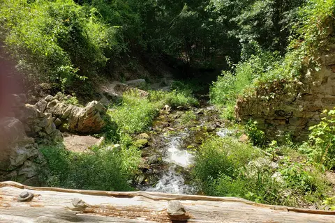 Poinsett State Park