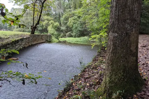 Poinsett State Park