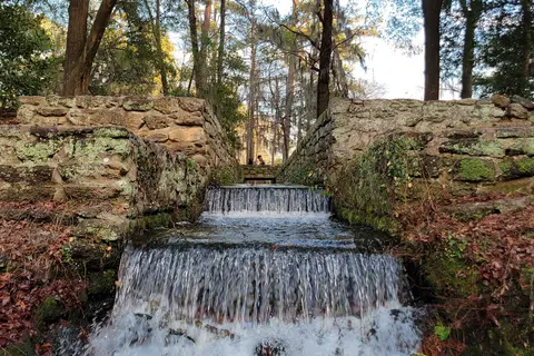 Poinsett State Park