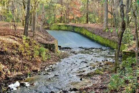 Poinsett State Park