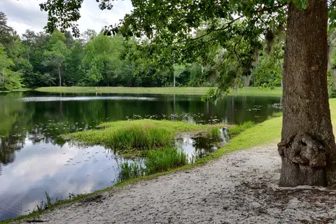 Poinsett State Park