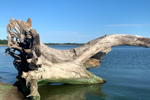 Lake Thompson Recreation Area