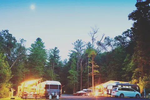 Treetopia Campground