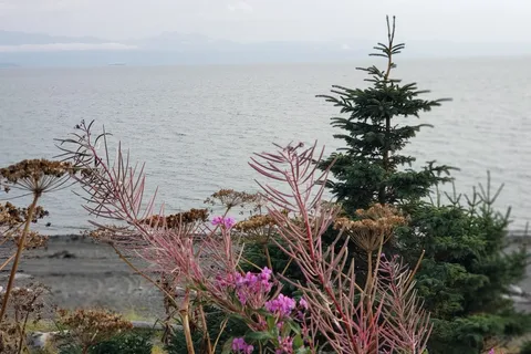 Driftwood Inn & RV Park