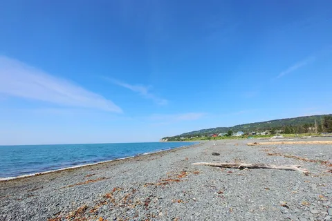 Driftwood Inn & RV Park