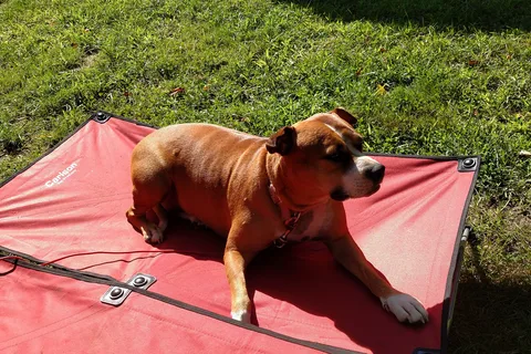 Country Aire Campgrounds